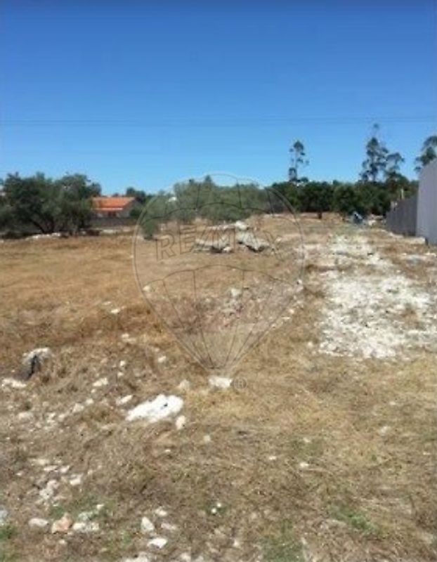 Terreno à venda em Alcobaça