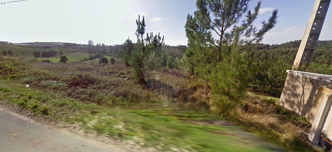 Terreno à venda em Alcobaça