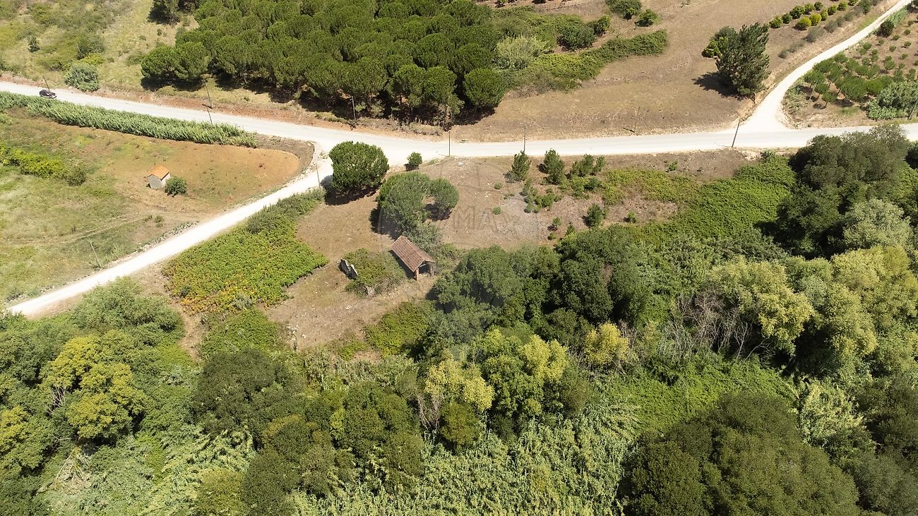 Terreno à venda em Alcobaça