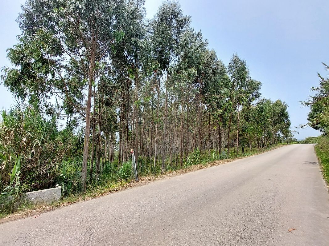 Terreno  à venda em Serra da Pescaria