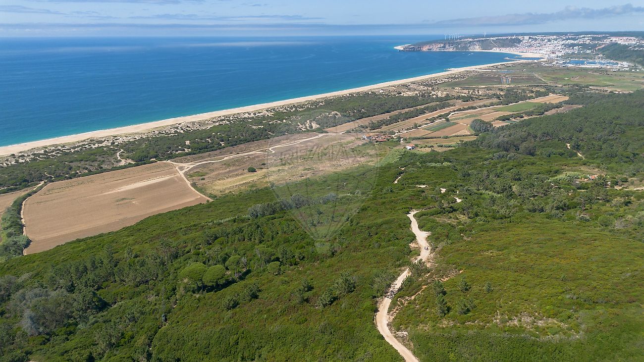 Terreno - Famalicão, Nazaré, Leiria