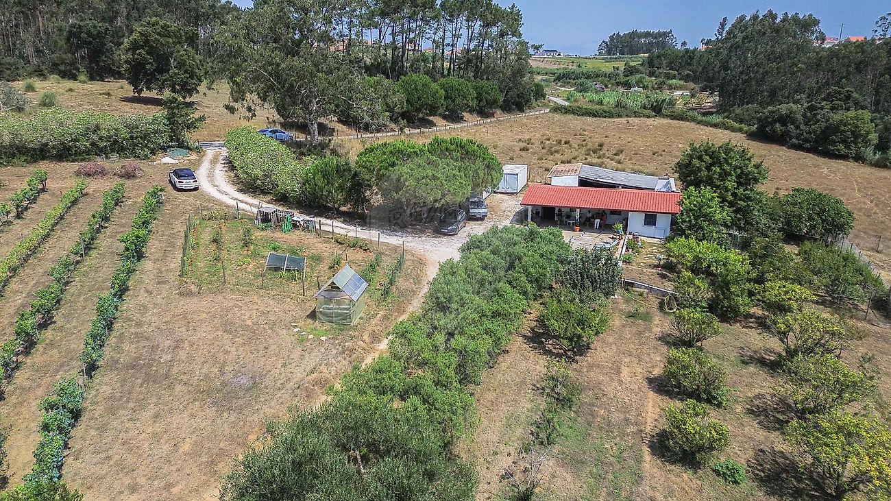 Moradia T1 à venda em Famalicão, Nazaré — foto 9