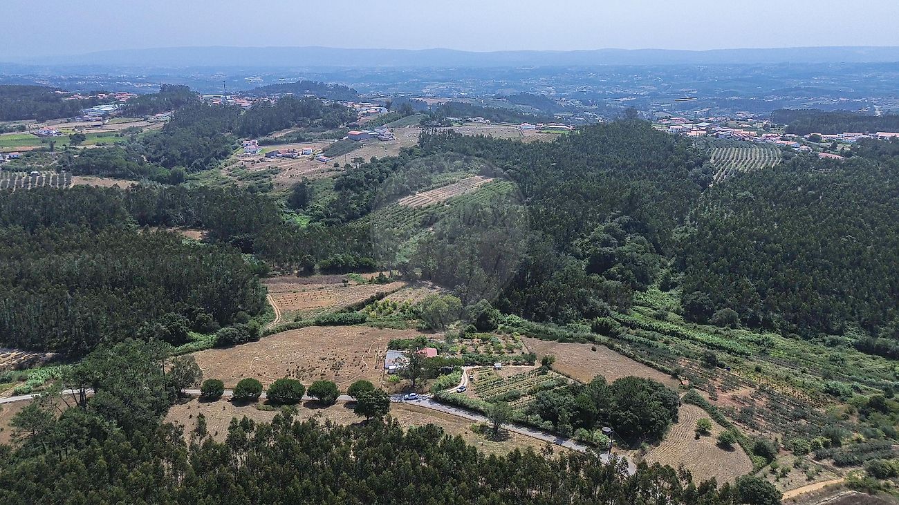 Moradia T1 à venda em Famalicão, Nazaré — foto 16