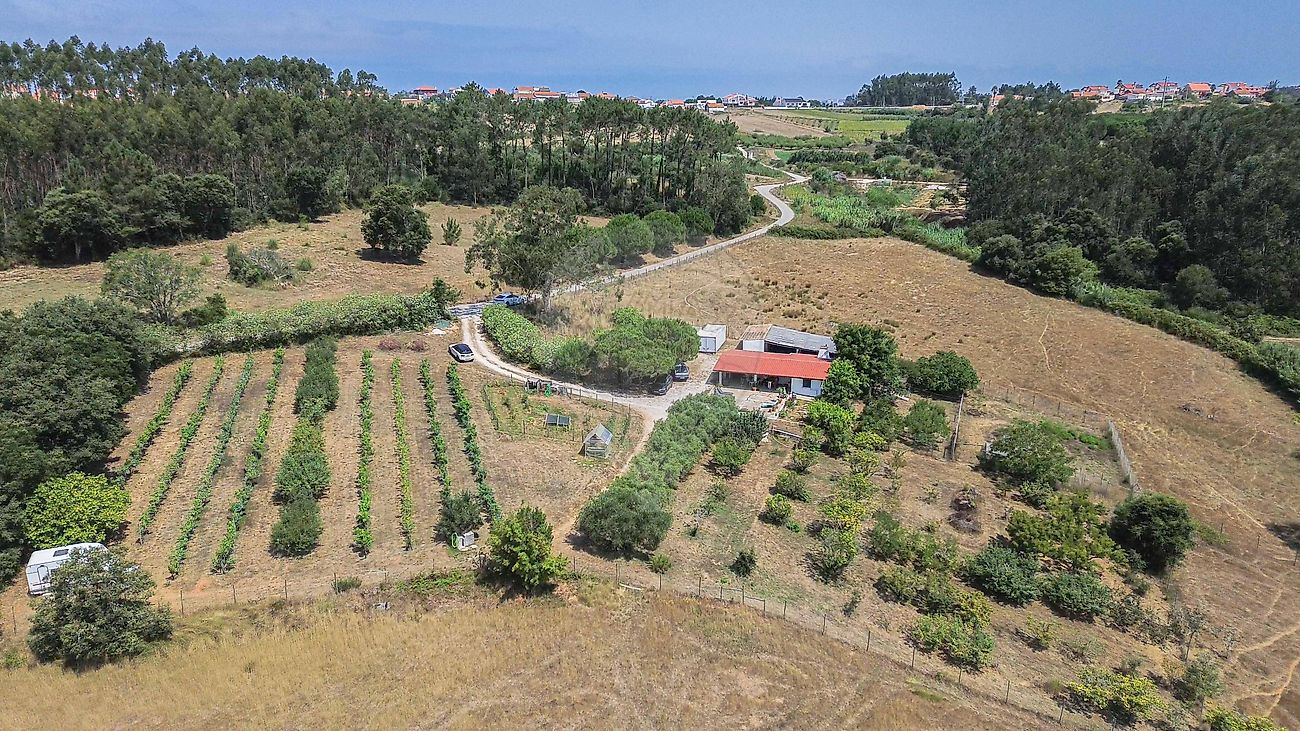 Moradia T1 à venda em Famalicão, Nazaré — foto 8