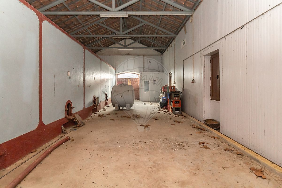 listing-picture-0