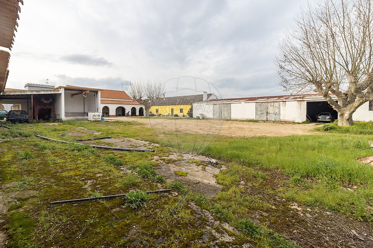 listing-picture-0