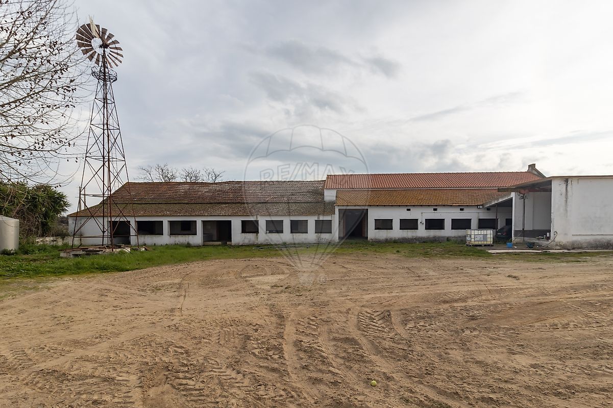 listing-picture-0