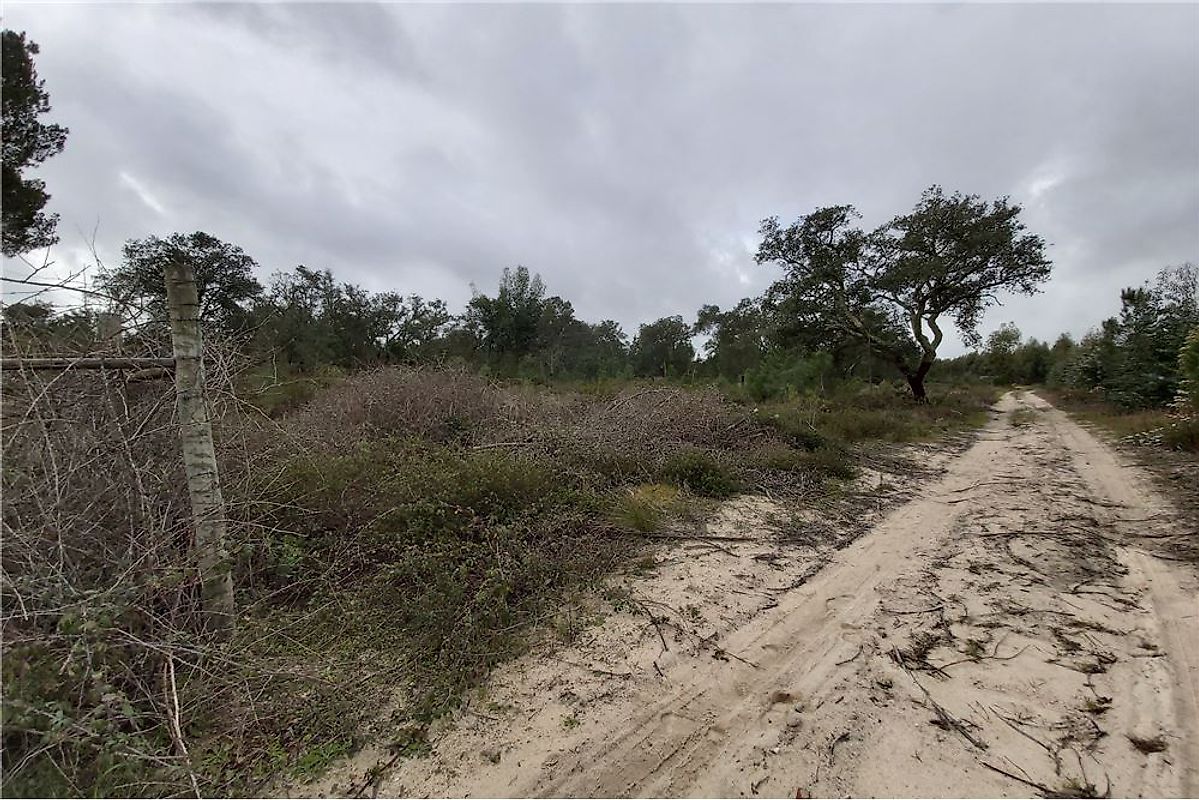 Terreno à venda em Palmela