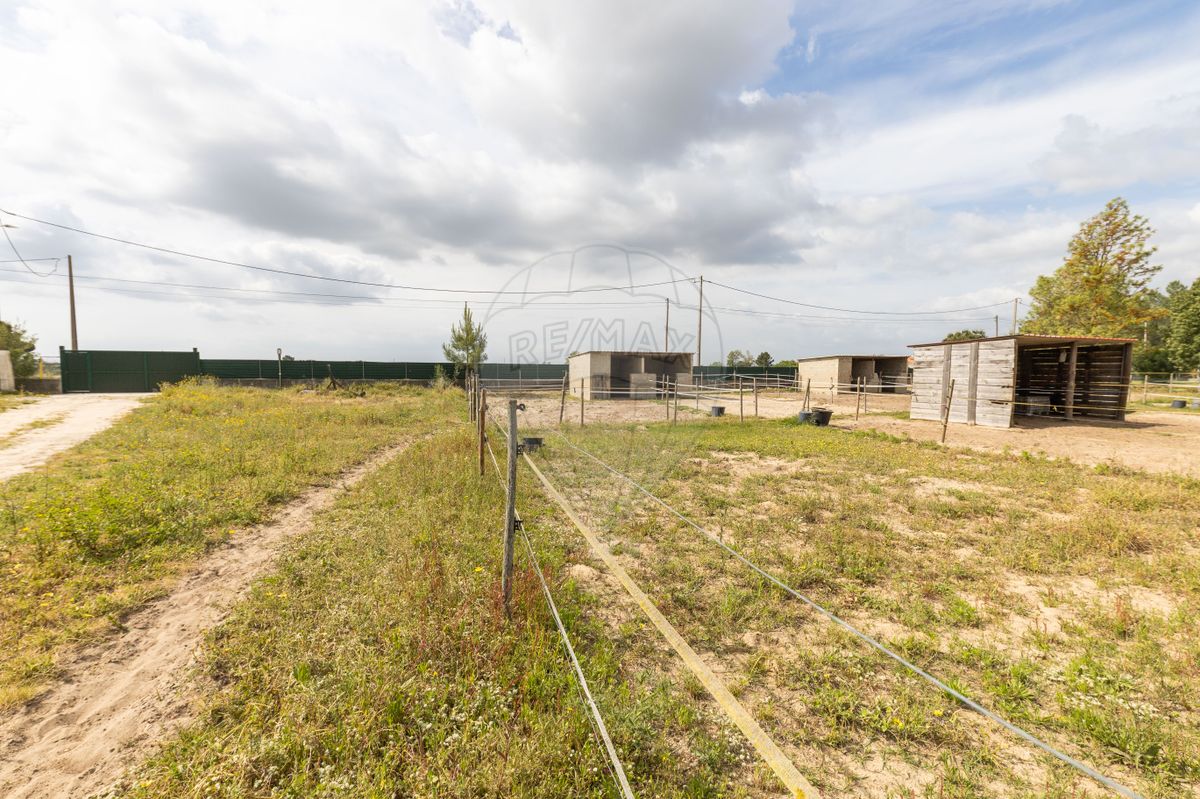 listing 124301159-9 picture-0