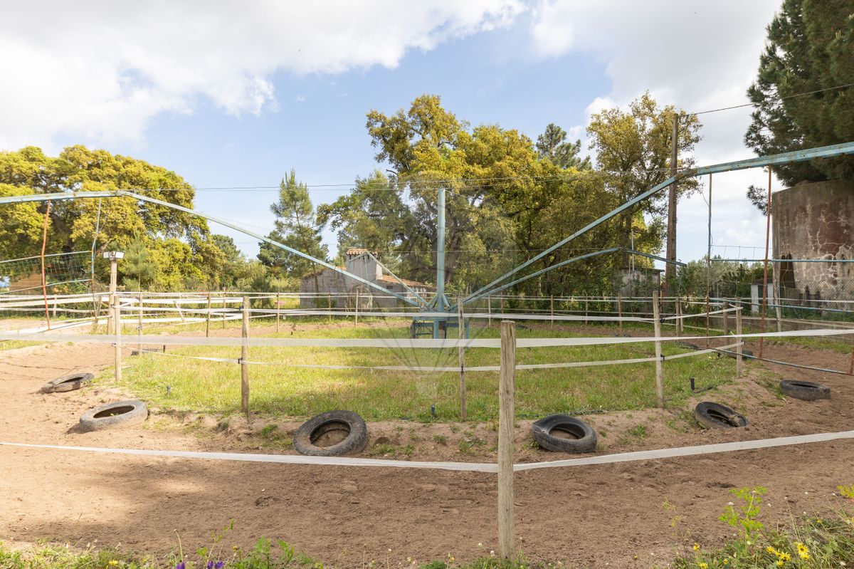 listing 124301159-9 picture-0