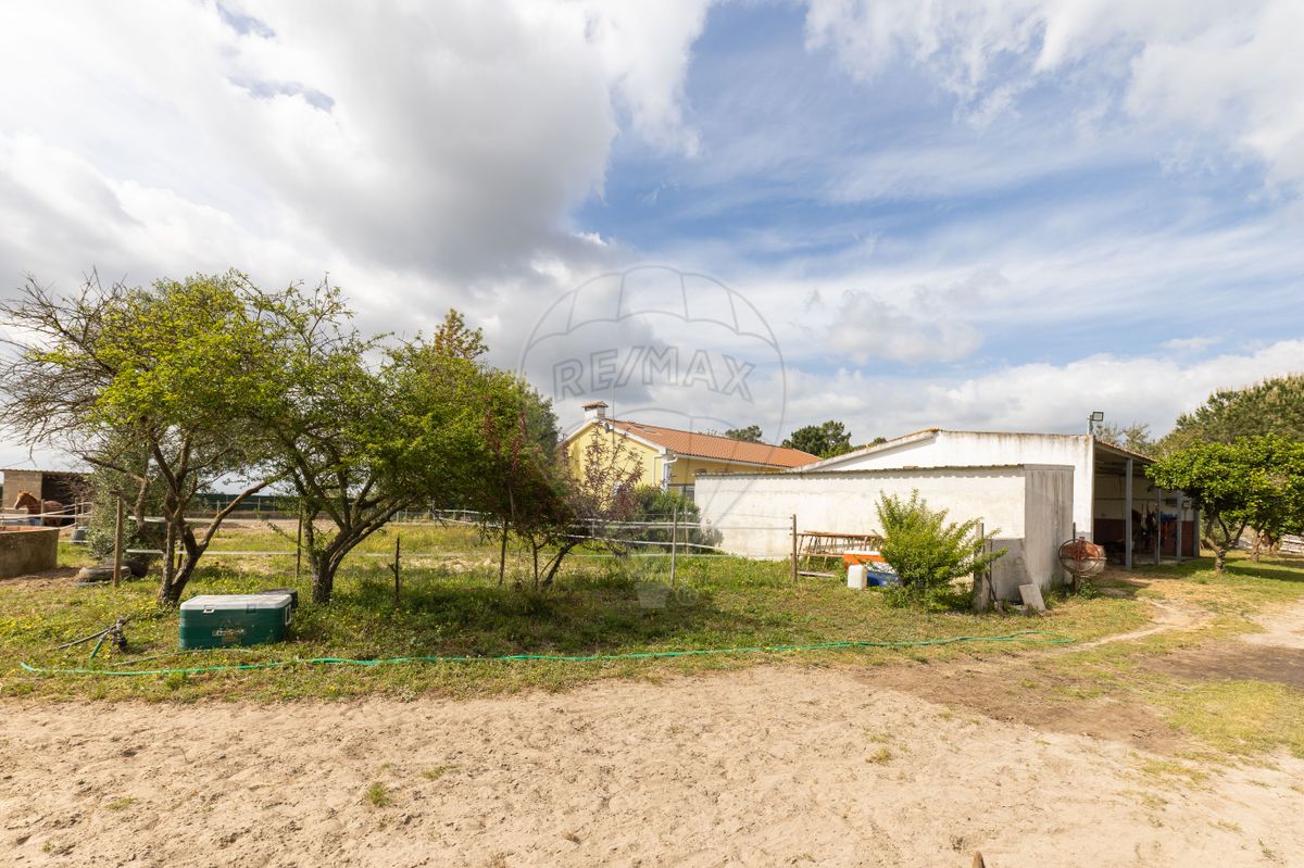 listing 124301159-9 picture-0