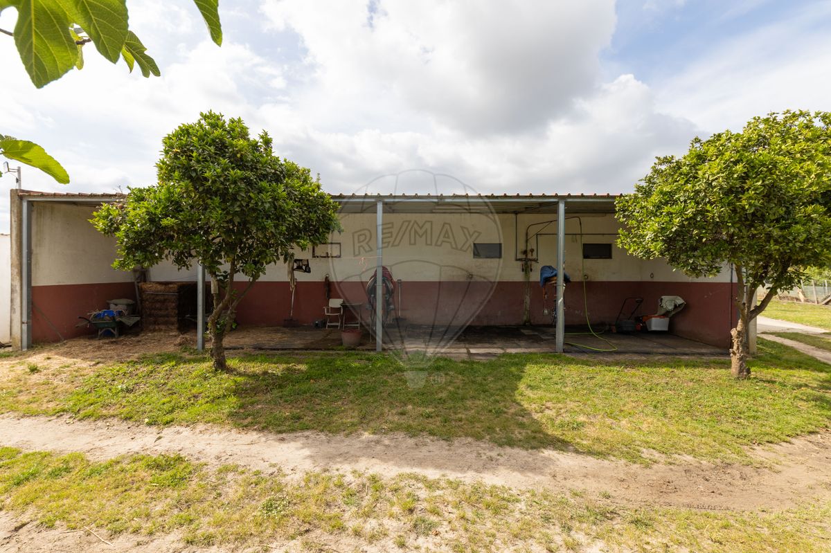 listing 124301159-9 picture-0