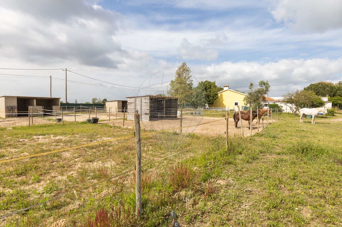 listing 124301159-9 picture-0