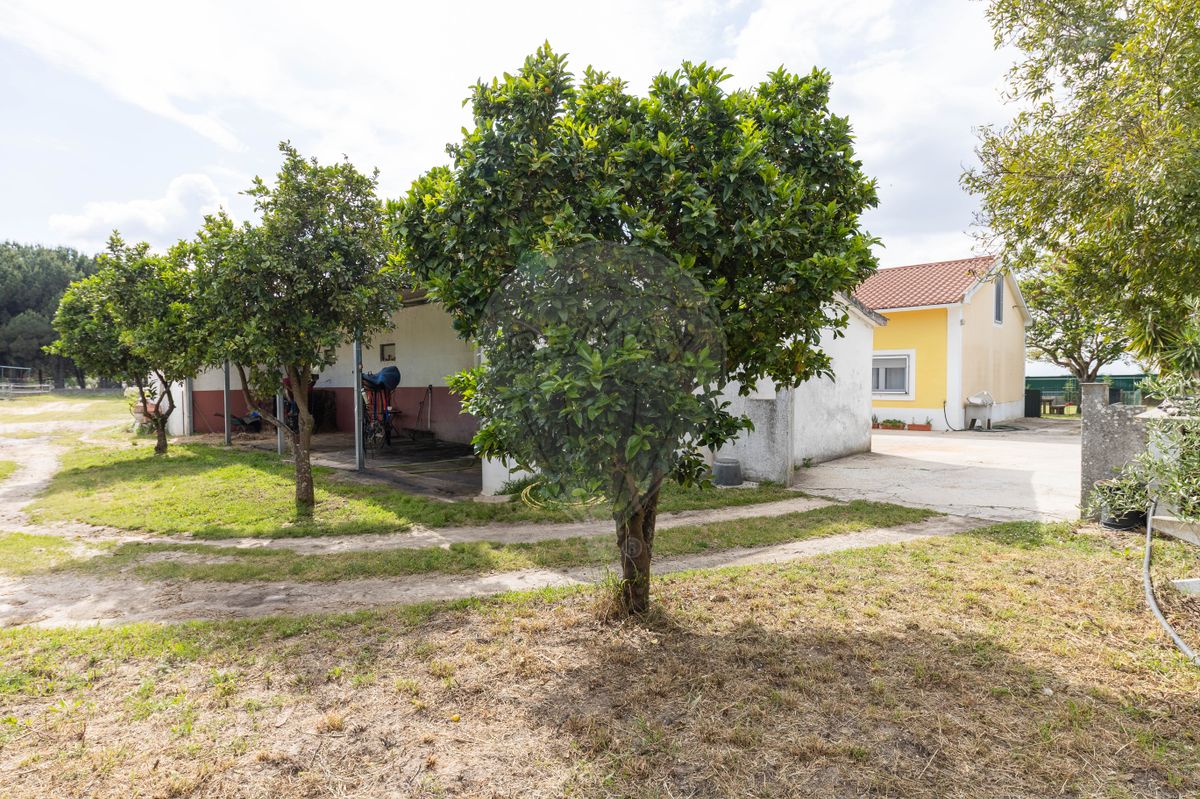 listing 124301159-9 picture-0