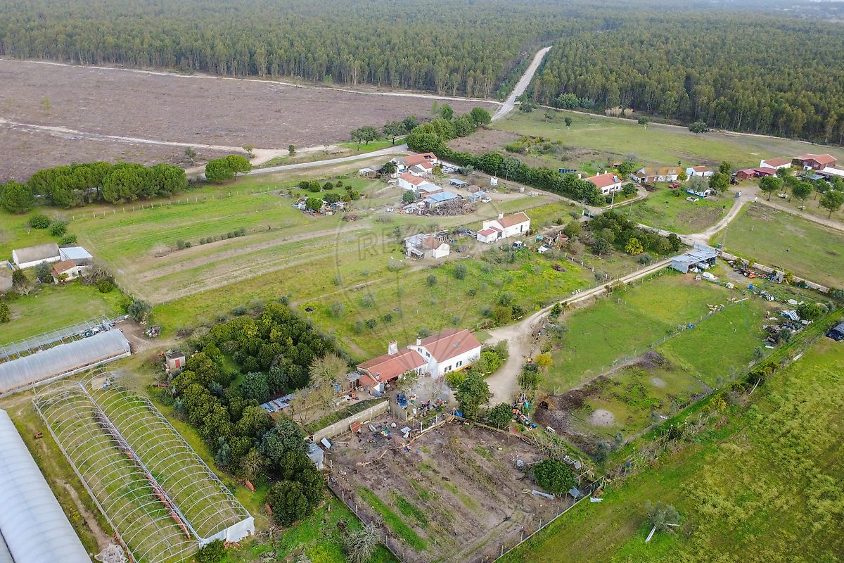 Quinta - Branca, Coruche, Santarém