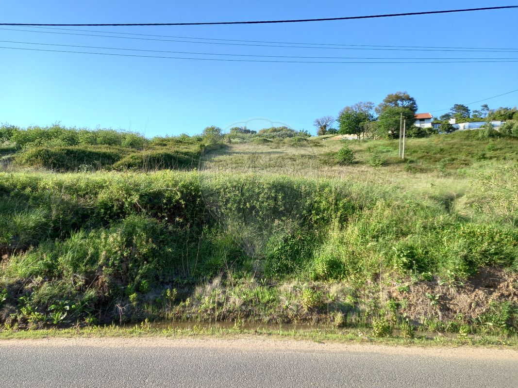 Terreno  para venda