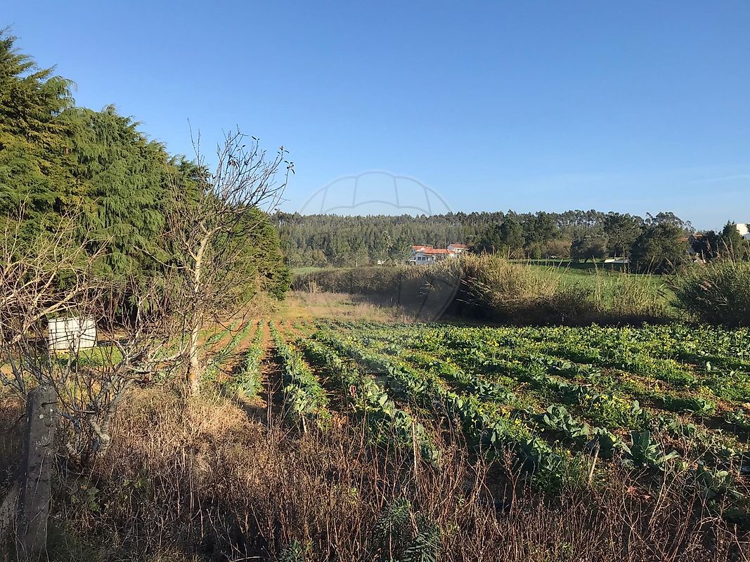 Land for sale in Caldas da Rainha, Portugal — €140,000