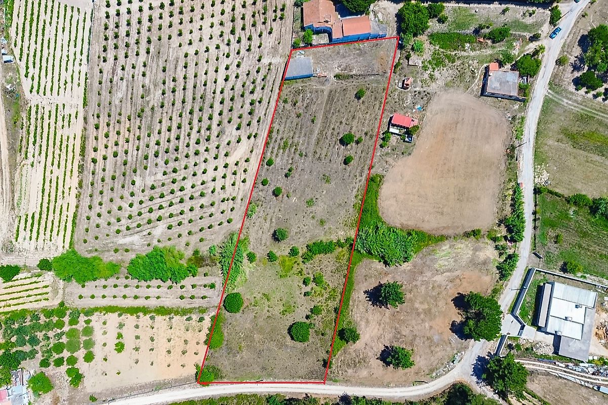 Quinta à venda em Cartaxo
