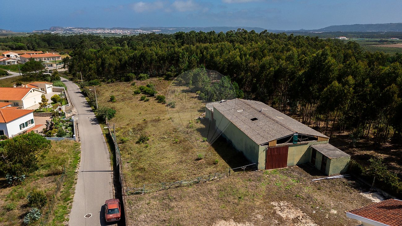 listing-picture-0
