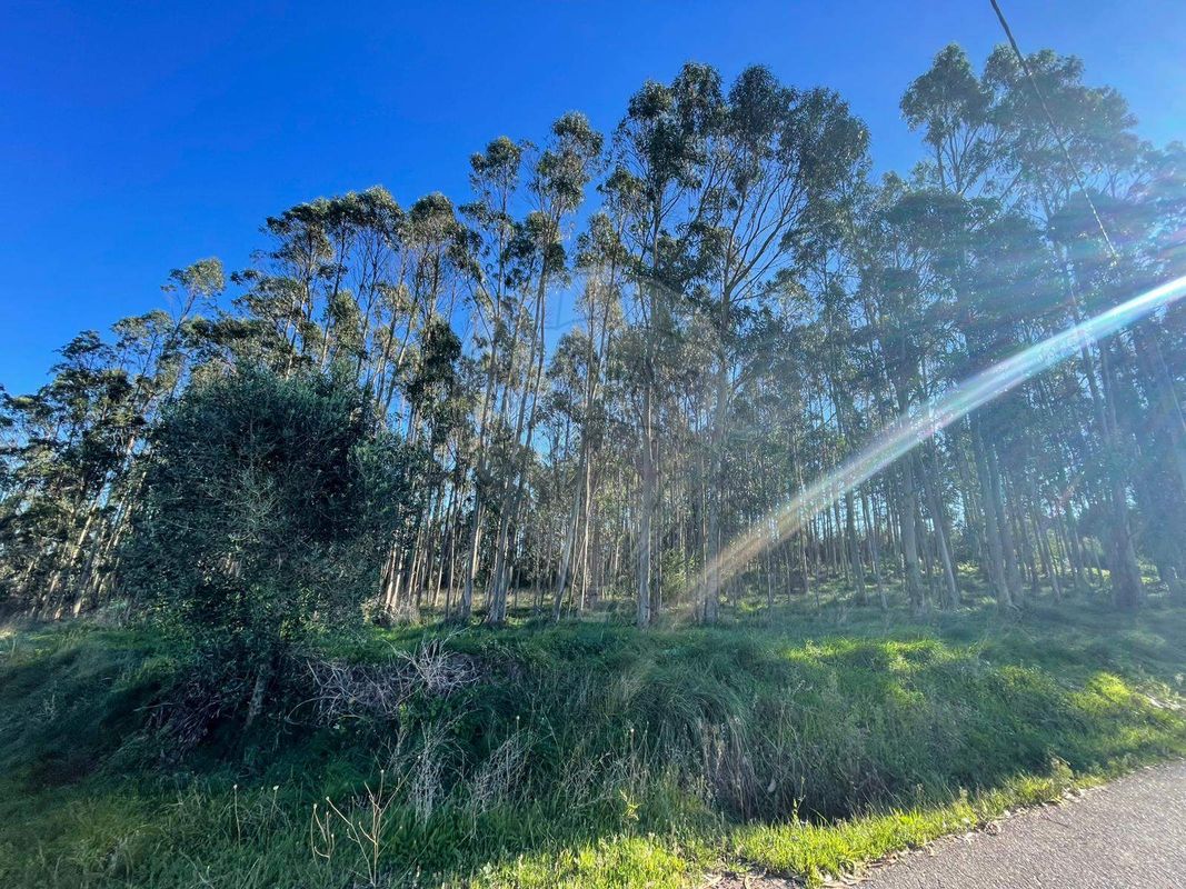 listing 124311222-7 picture-0