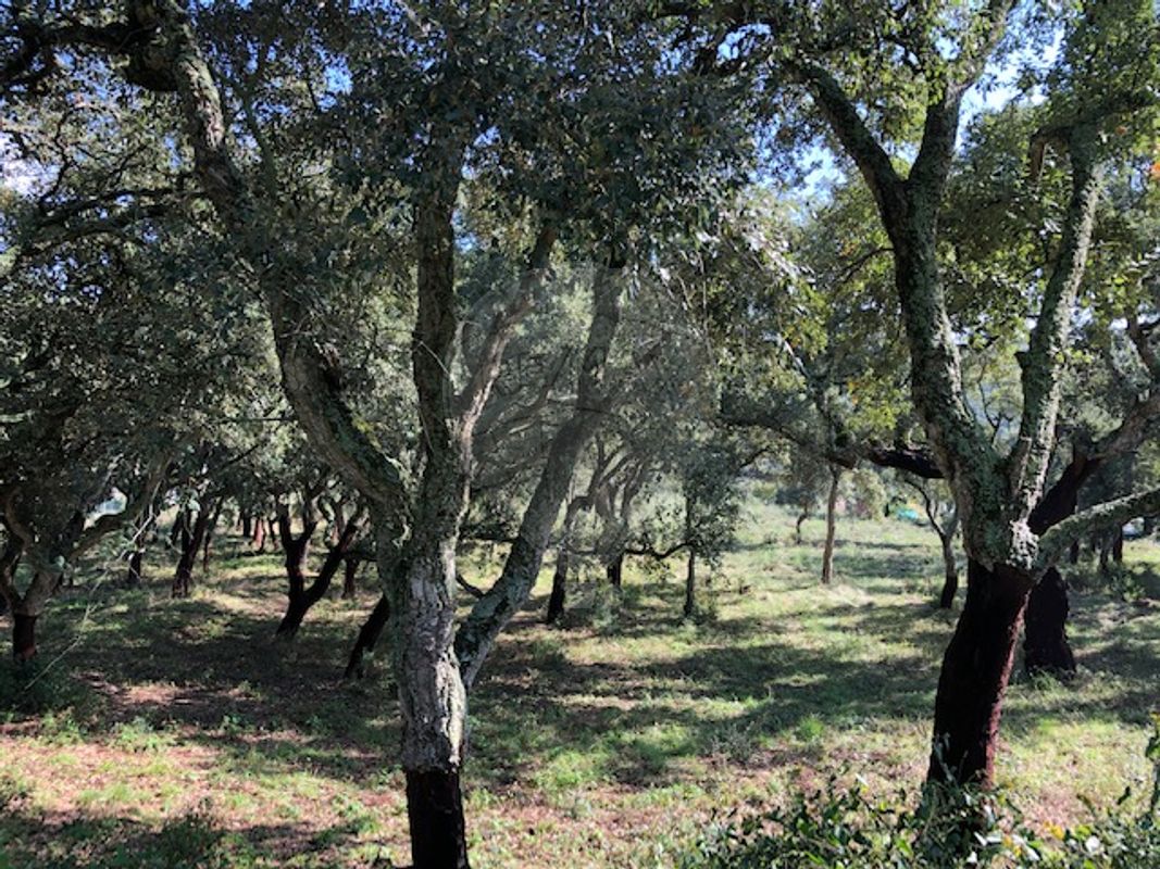 Terreno para venda