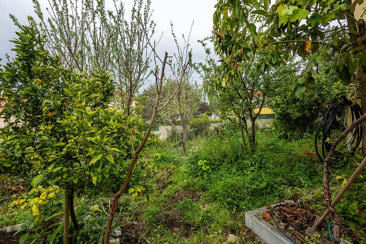 listing-picture-0