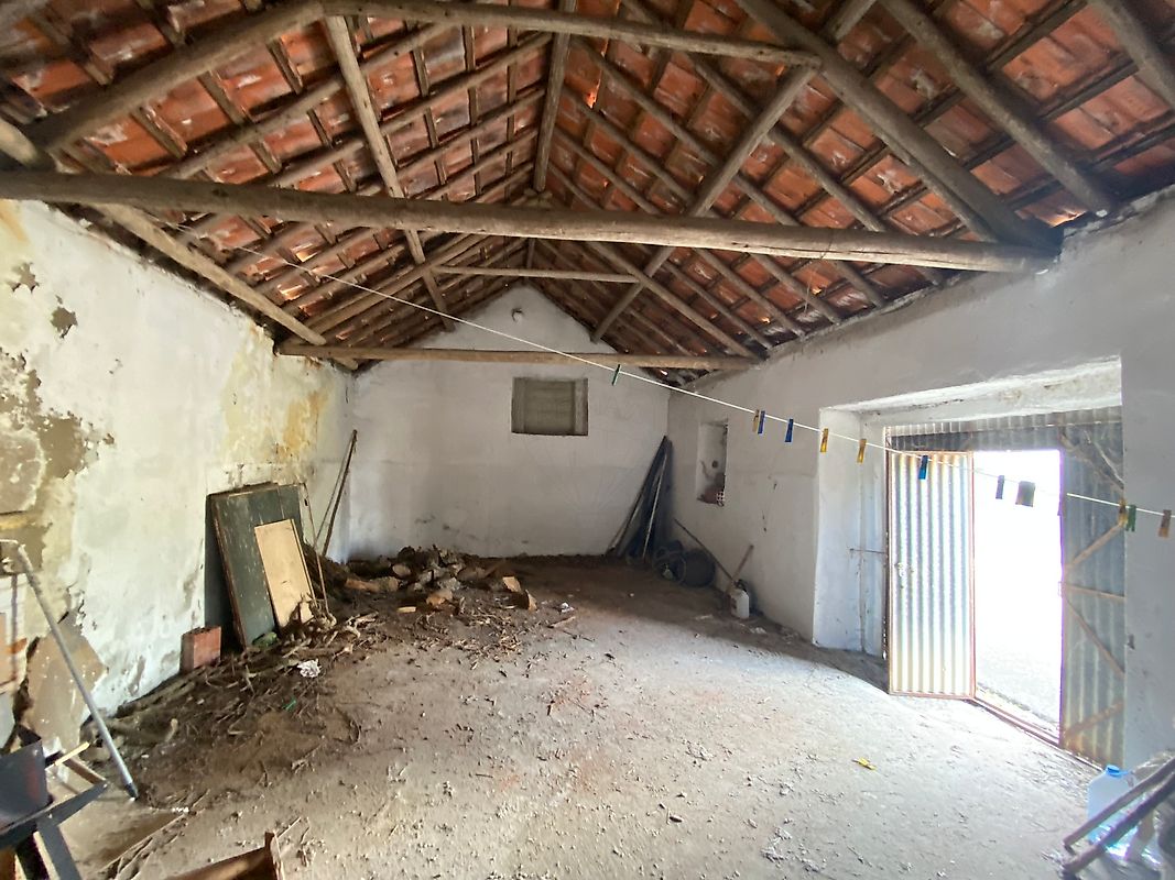 listing 124311277-2 picture-0