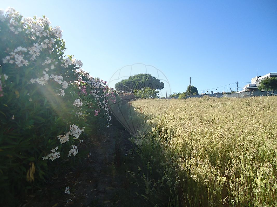 Moradia T1 à venda em Cela, Alcobaça — foto 8