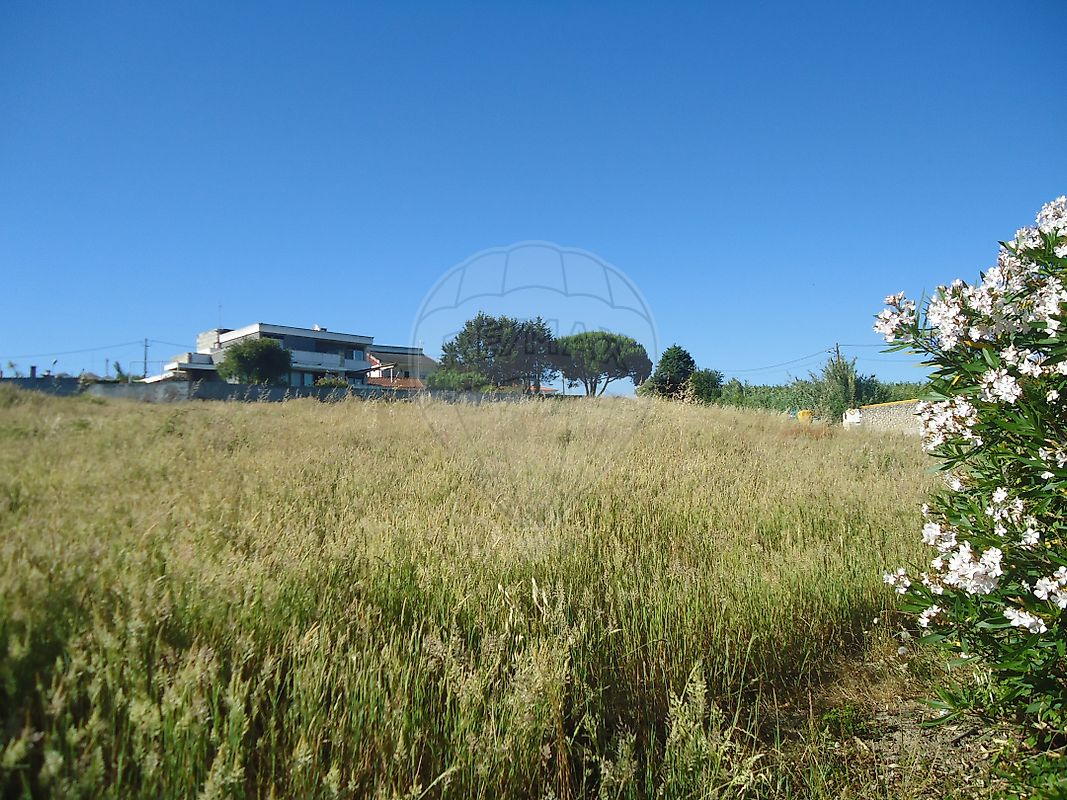 Moradia T1 à venda em Cela, Alcobaça — foto 7