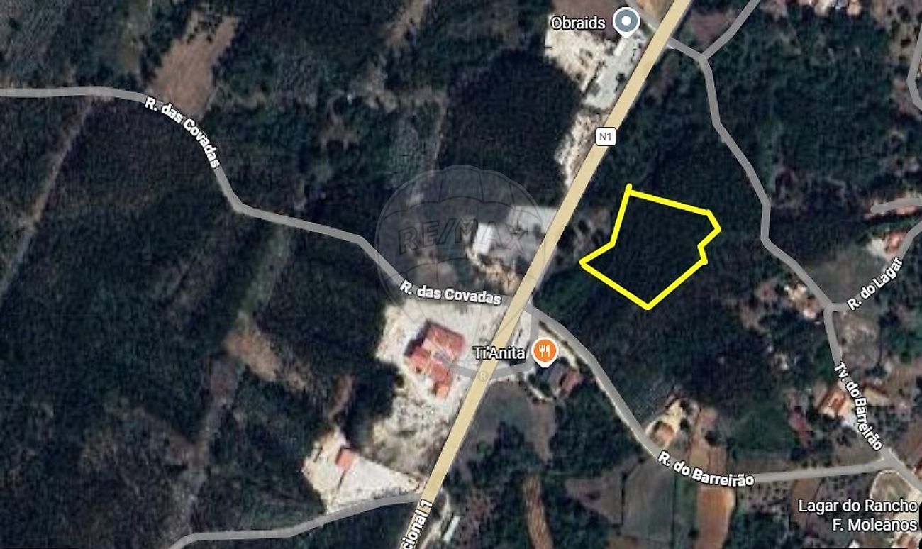Terreno - Évora de Alcobaça, Alcobaça, Leiria