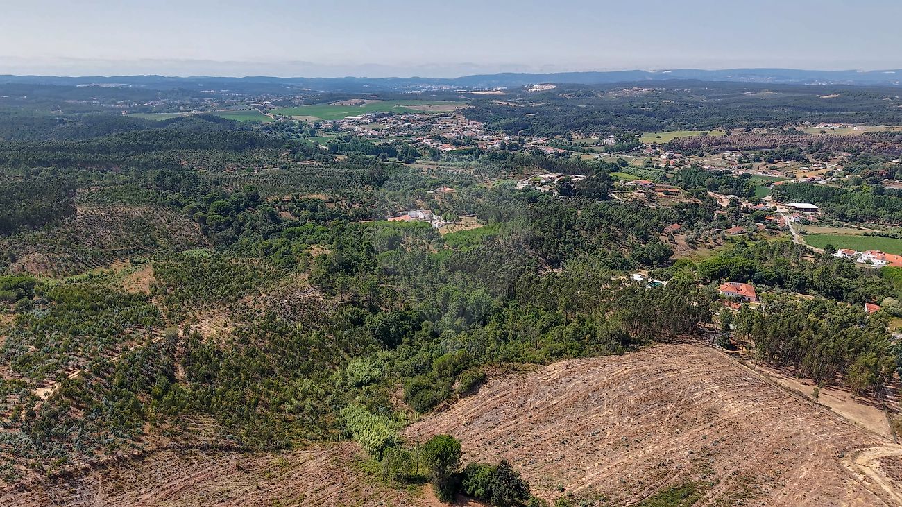 Terreno - São João da Ribeira e Ribeira de São João, Rio Maior, Santarém