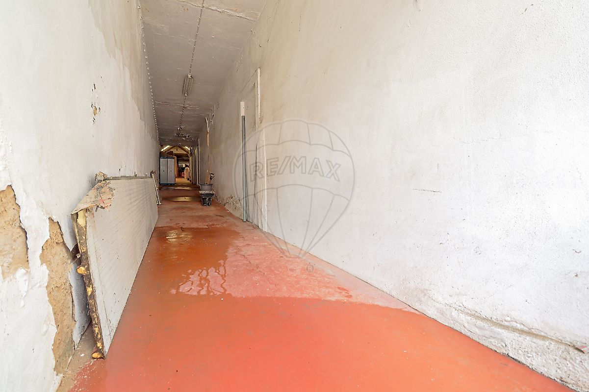 listing 124321187-80 picture-0