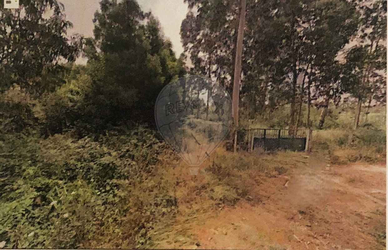 124321321-51