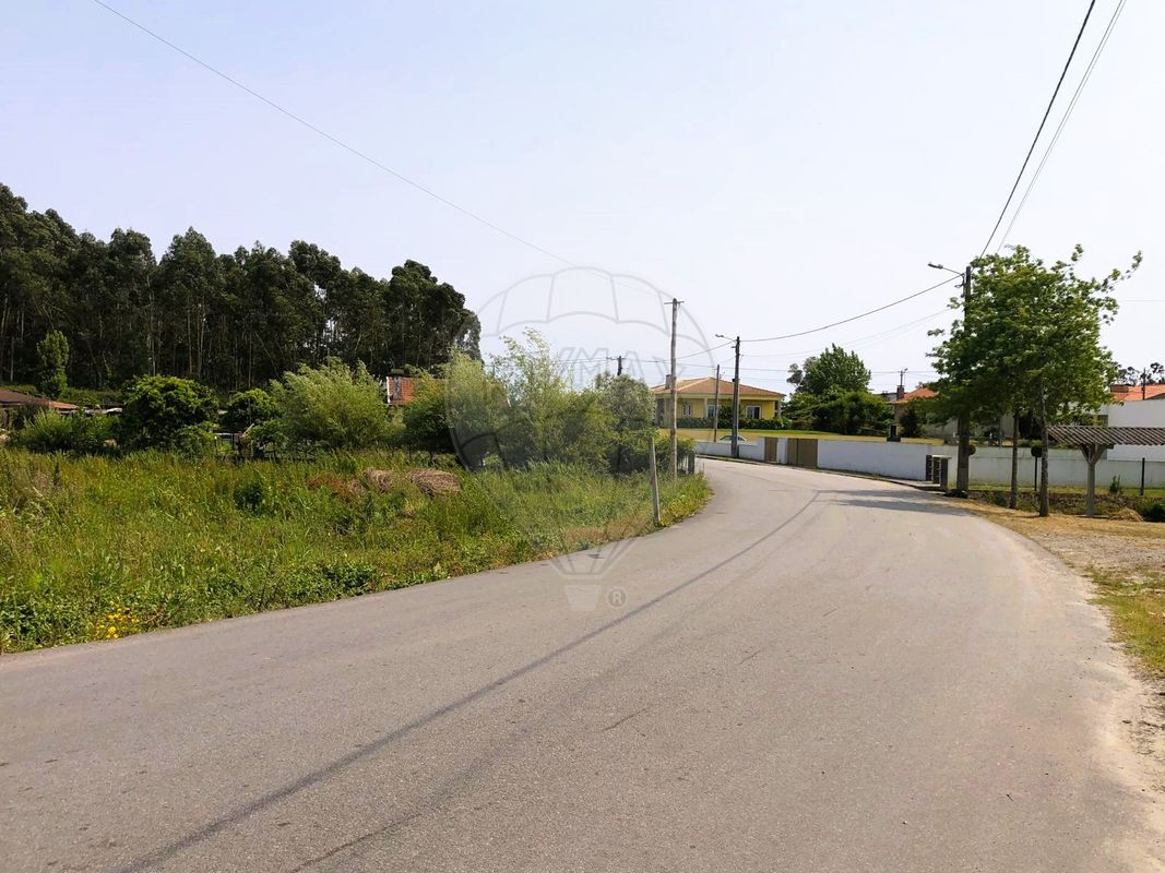 listing 124321321-50 picture-0