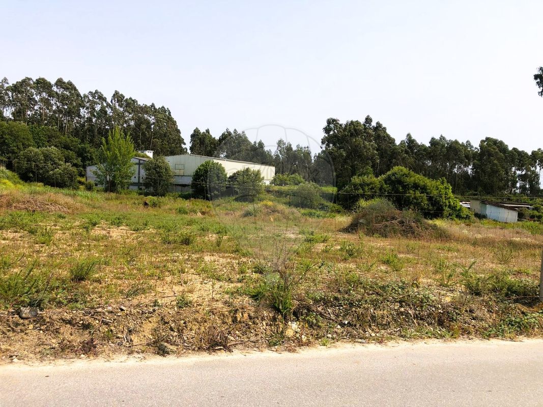 listing 124321321-50 picture-0