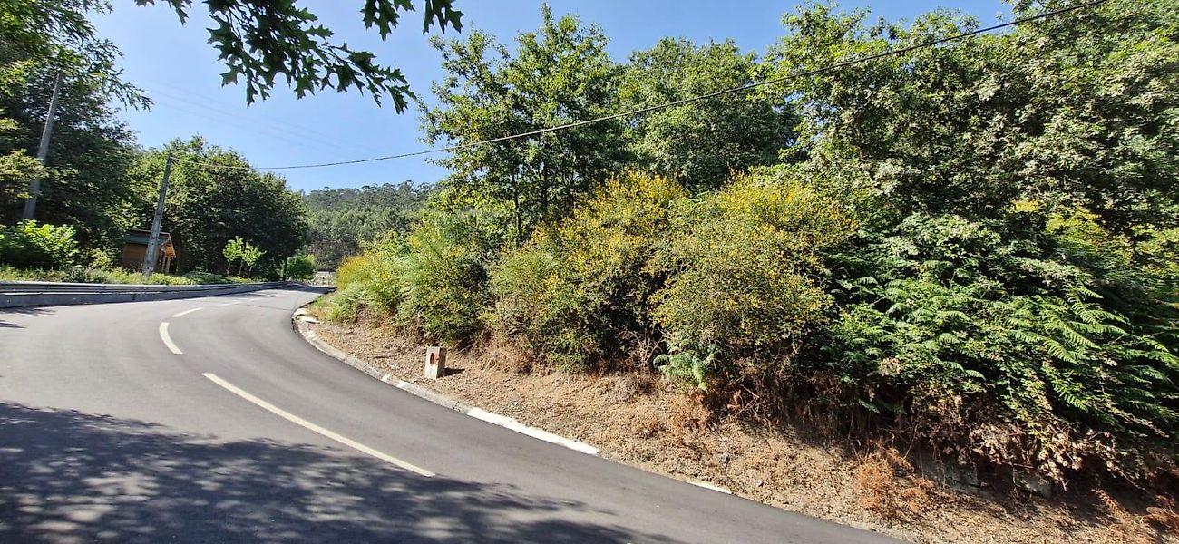 listing 124321363-15 picture-0