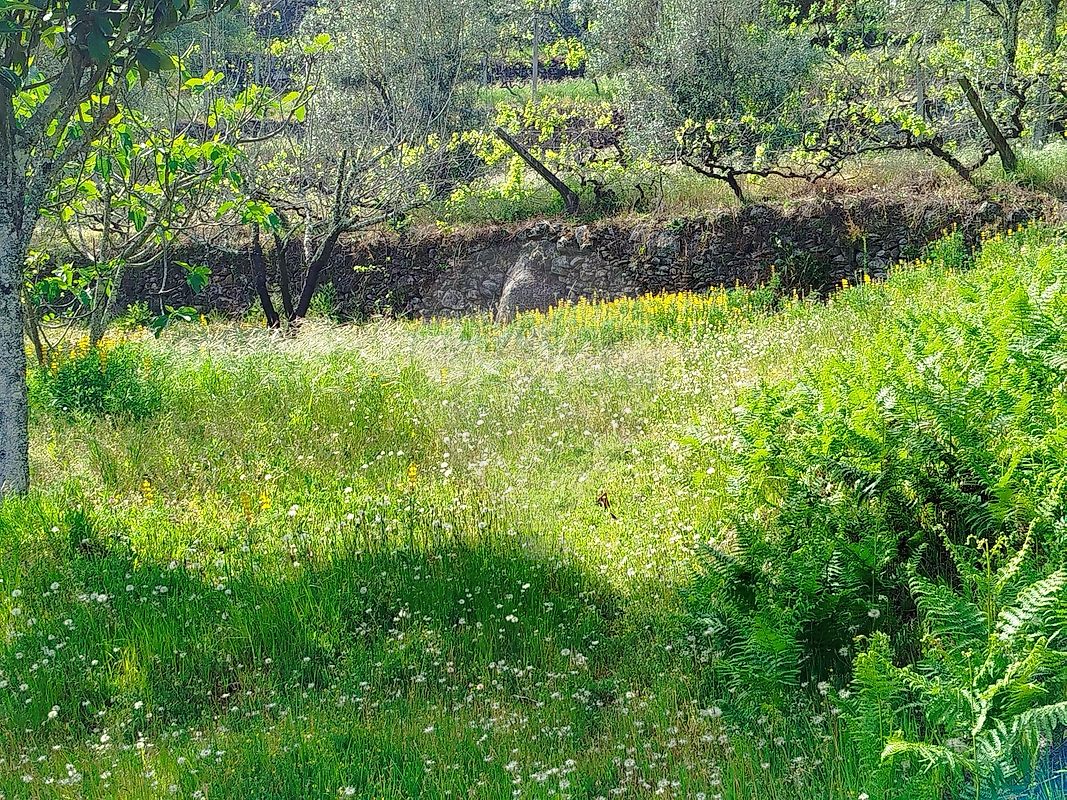 Moradia T3 à venda em Gove, Baião — foto 36