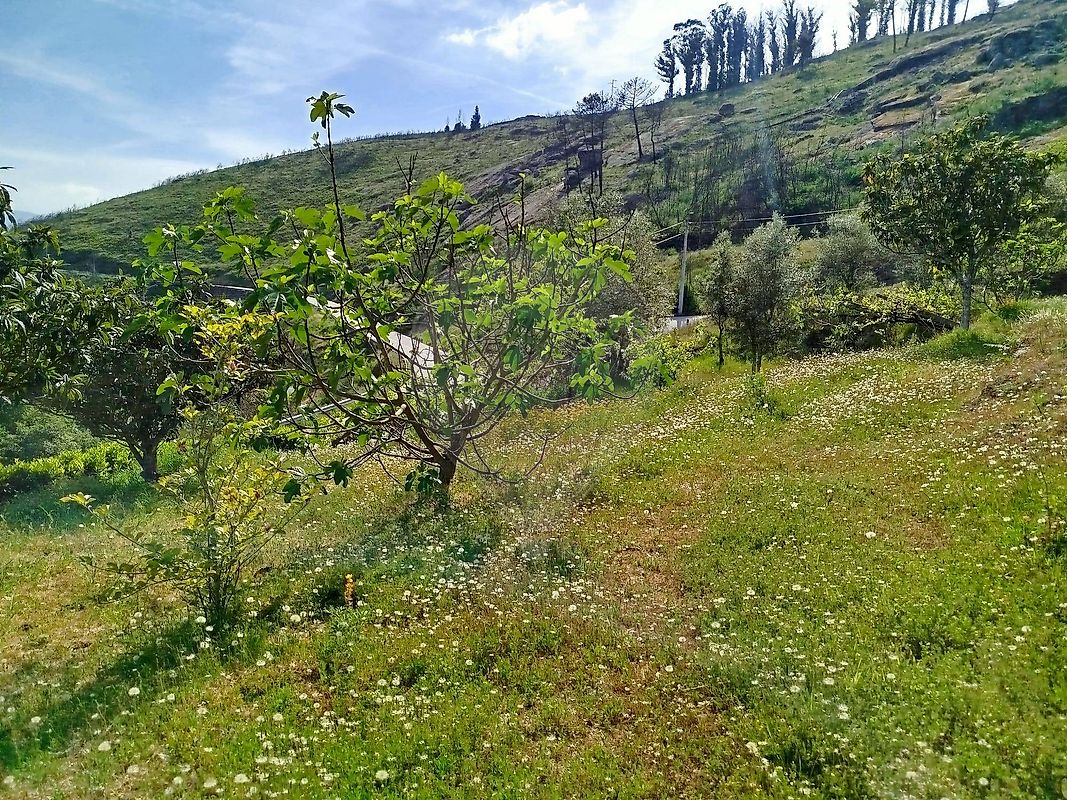 Moradia T3 à venda em Gove, Baião — foto 35