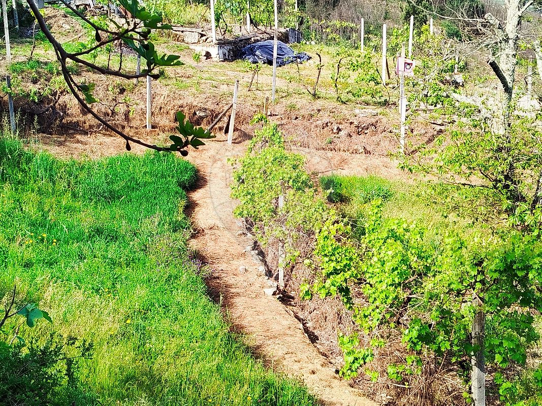 Moradia T3 à venda em Gove, Baião — foto 40