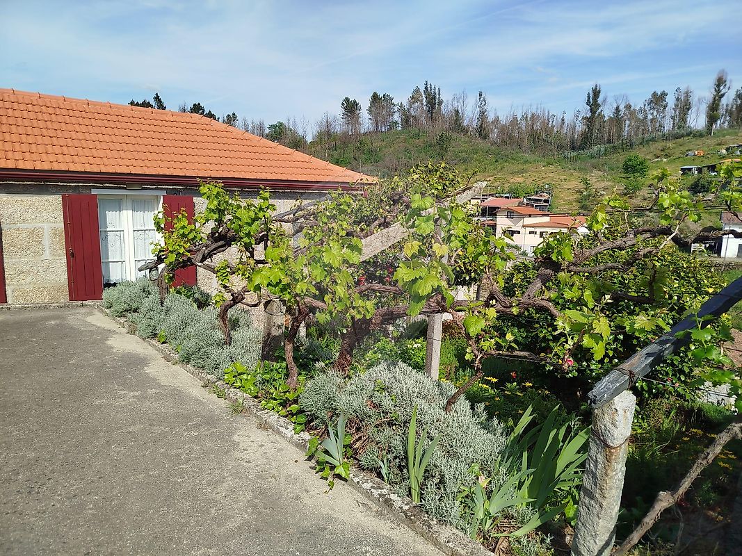 Moradia T3 à venda em Gove, Baião — foto 33