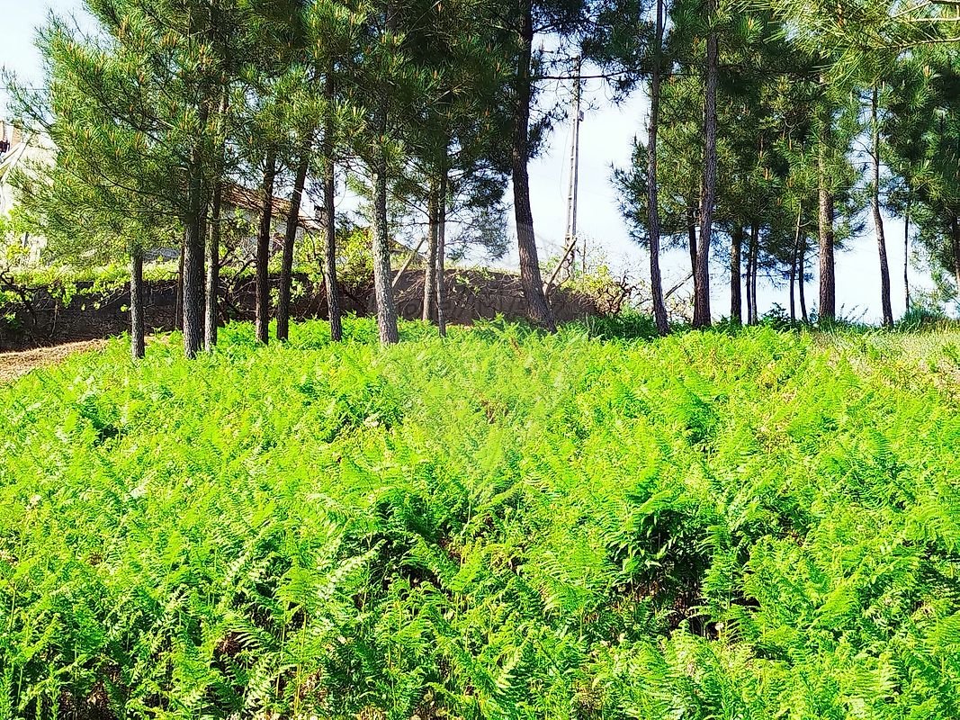 Moradia T3 à venda em Gove, Baião — foto 37