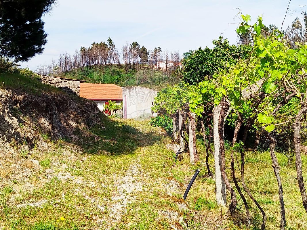 Moradia T3 à venda em Gove, Baião — foto 32