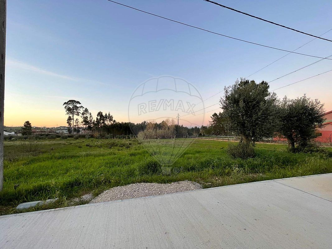 Terreno - São Lourenço do Bairro, Anadia, Aveiro
