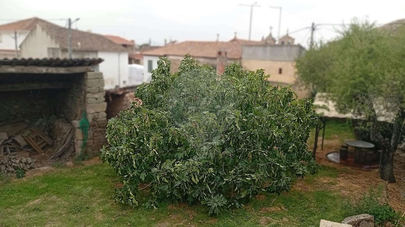 Moradia T5 à venda em Coriscada, Mêda — foto 5