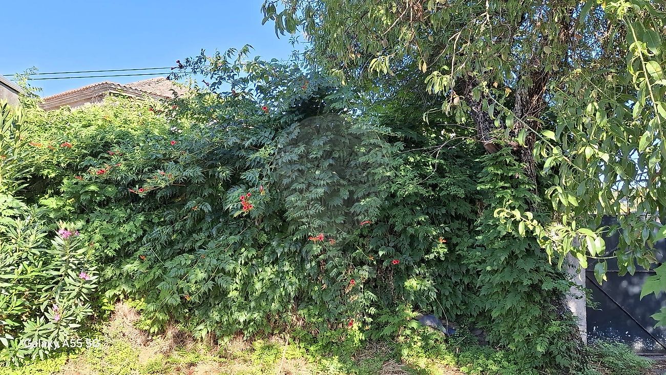 Moradia T5 à venda em Coriscada, Mêda — foto 29