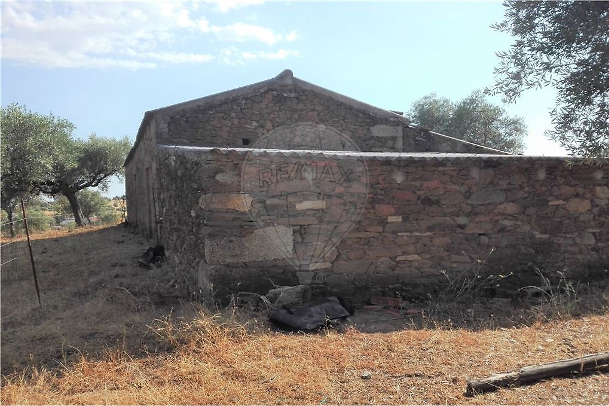 Terreno à venda em Castelo Branco