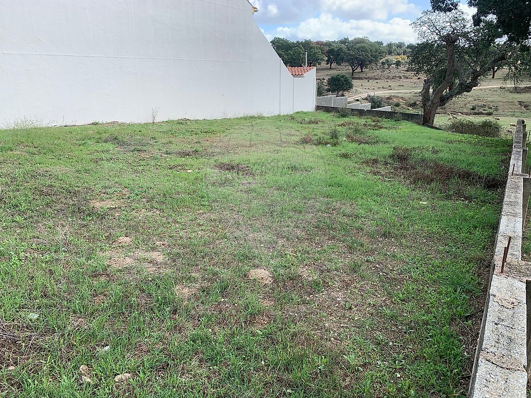 Terreno à venda em Castelo Branco
