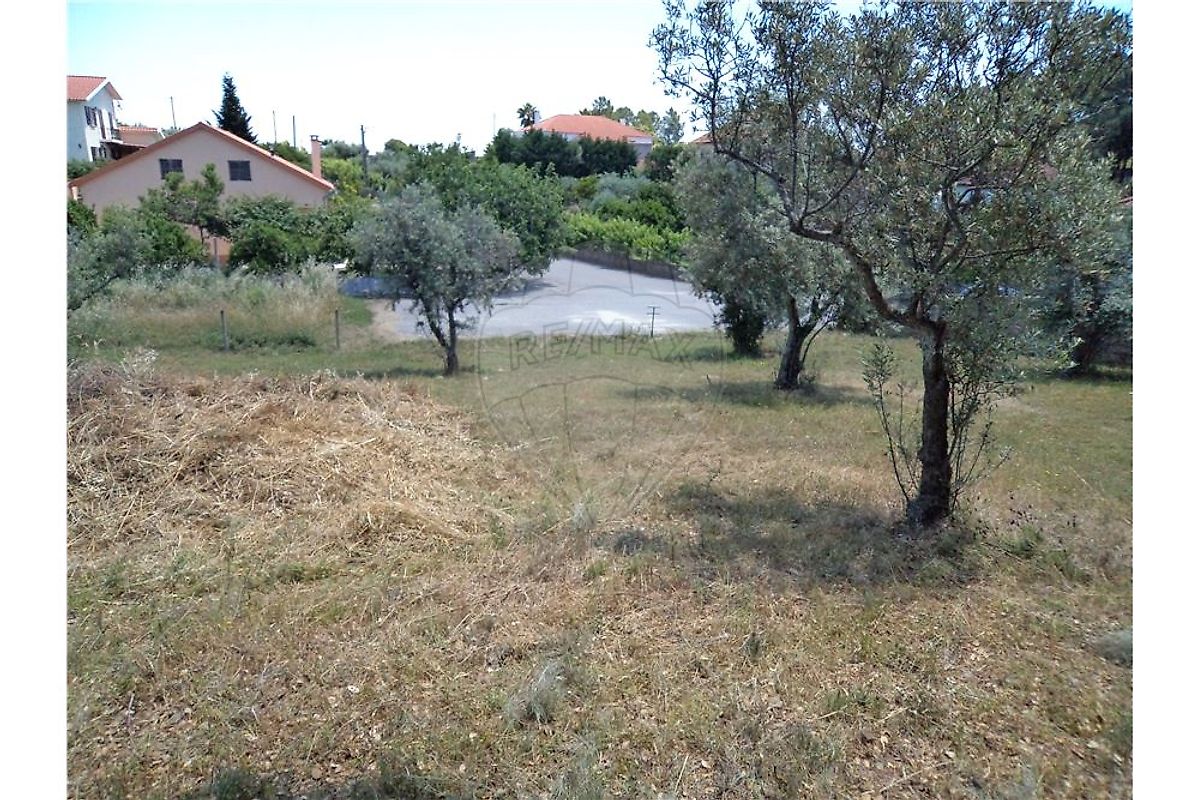 Terreno à venda em Castelo Branco