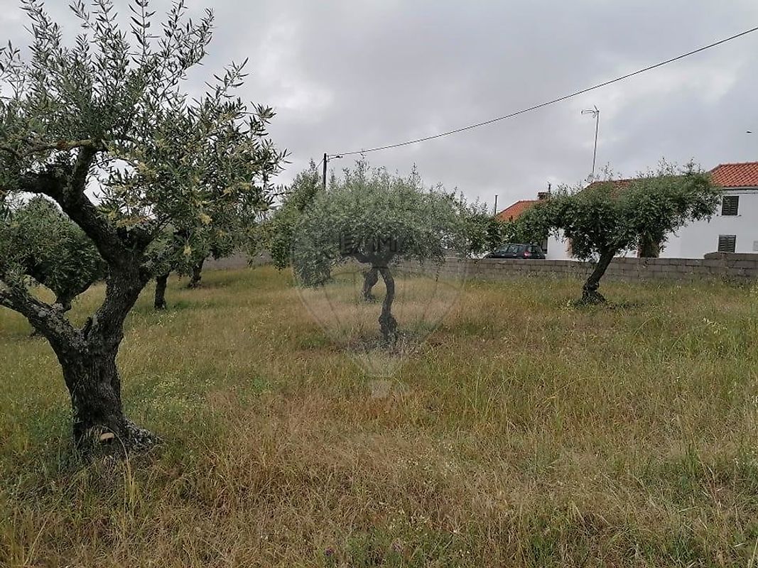Terreno à venda em Vila Velha de Ródão
