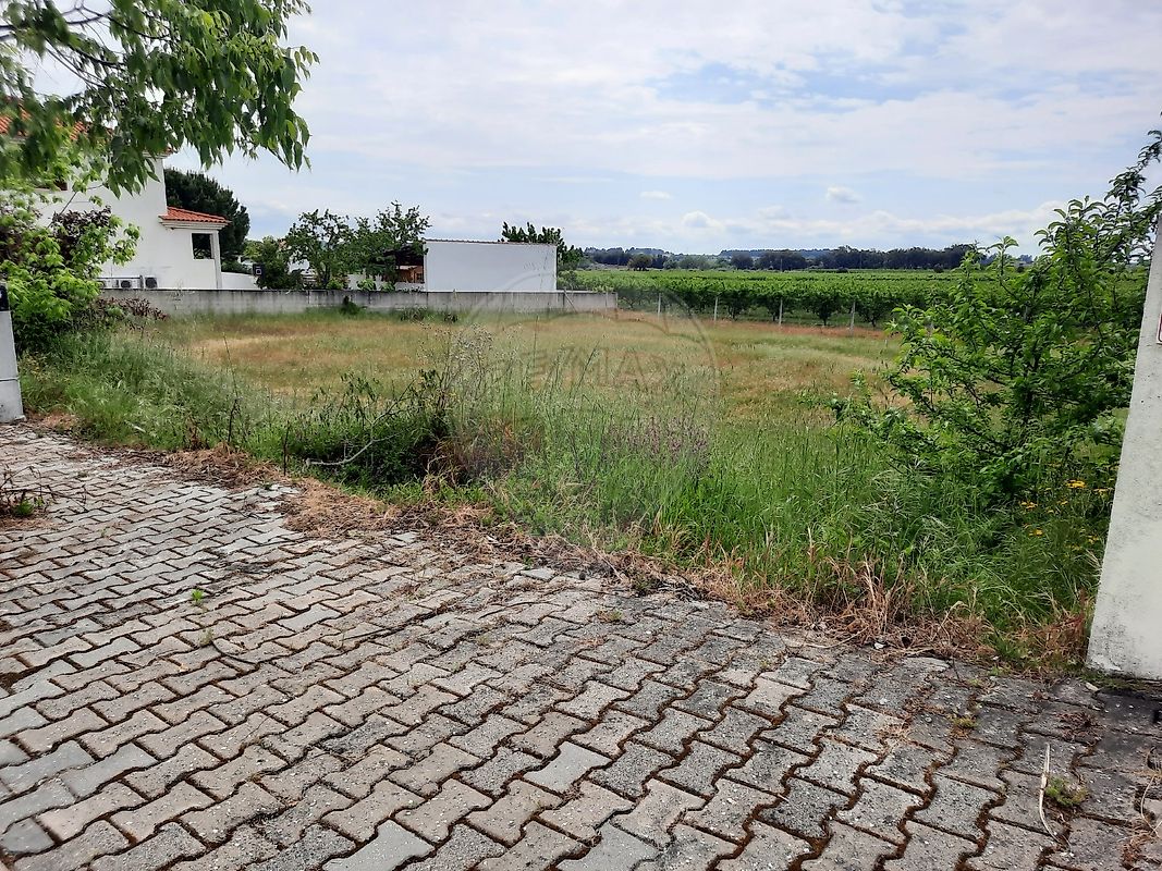 Terreno à venda em Castelo Branco